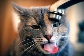 九游官网入口-球队抗压能力是否与联赛经验成正比例关系，抗压能力问题