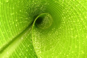 九游娱乐平台-CBA联盟优化赛程保障球员健康，cba联赛改革新扩军