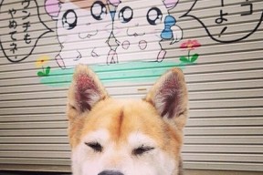 九游官网入口地址-世界杯最后一刻：绝平扳平的奇迹时刻，世界杯最后一刻_绝平扳平的奇迹时刻在线观看