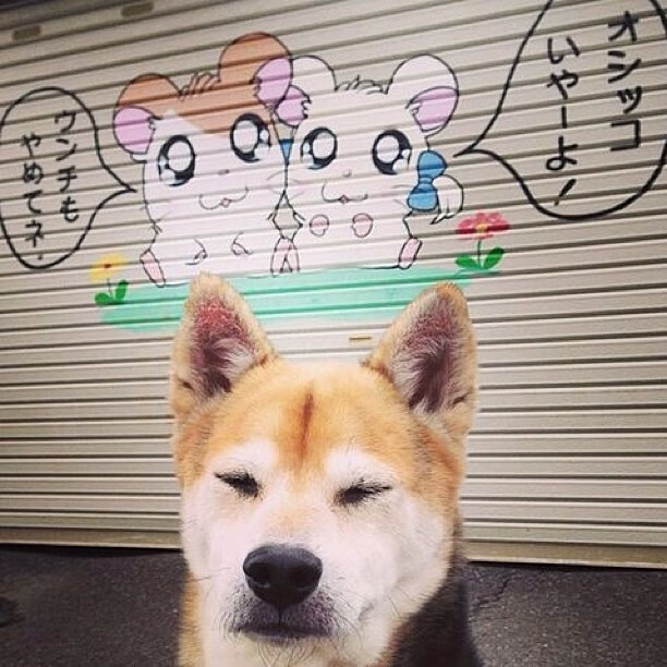 世界杯最后一刻：绝平扳平的奇迹时刻，世界杯最后一刻_绝平扳平的奇迹时刻在线观看