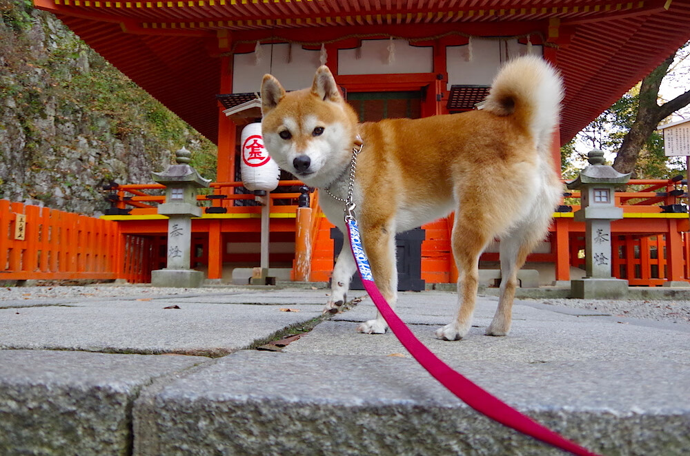 体育场馆无障碍设施建设情况，无障碍设施体验方案