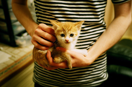 可持续发展理念融入橄榄球赛事，可持续发展 理念