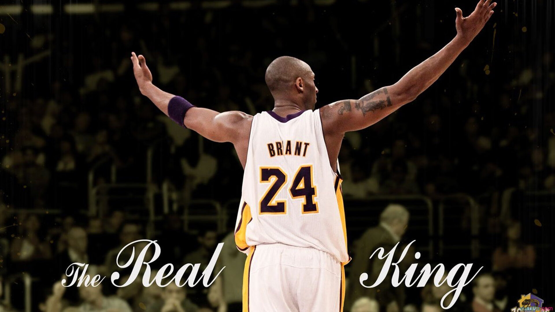 中国男篮精神感染无数年轻人,男篮精神是什么